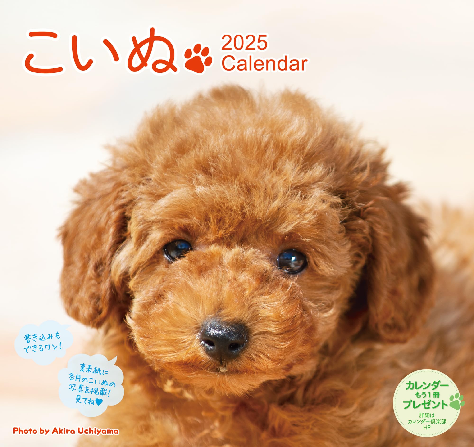 Amazon.co.jp: 2025 こいぬカレンダー（壁掛け）犬 ([カレンダー